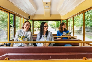 Vienna: Panorama Train Tickets to explore Schönbrunn Palace