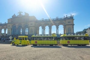 Wien: Panorama Togbilletter til Schönbrunn Slot