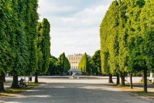 Wien: Panorama Togbilletter til Schönbrunn Slot