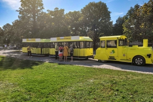 Vienna: Panorama Train Tickets to explore Schönbrunn Palace