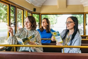 Vienna: Panorama Train Tickets to explore Schönbrunn Palace