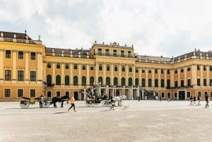 Vienna: Panorama Train Tickets to explore Schönbrunn Palace