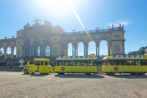Vienna: Panorama Train Tickets to explore Schönbrunn Palace