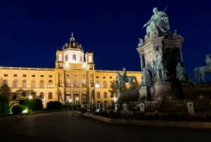 Vienne : Visite nocturne panoramique en bus