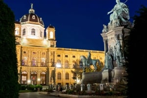 Wien: Panoramisk nattur med bus
