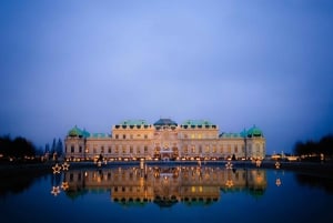 Wien: Panoramisk natttur med buss