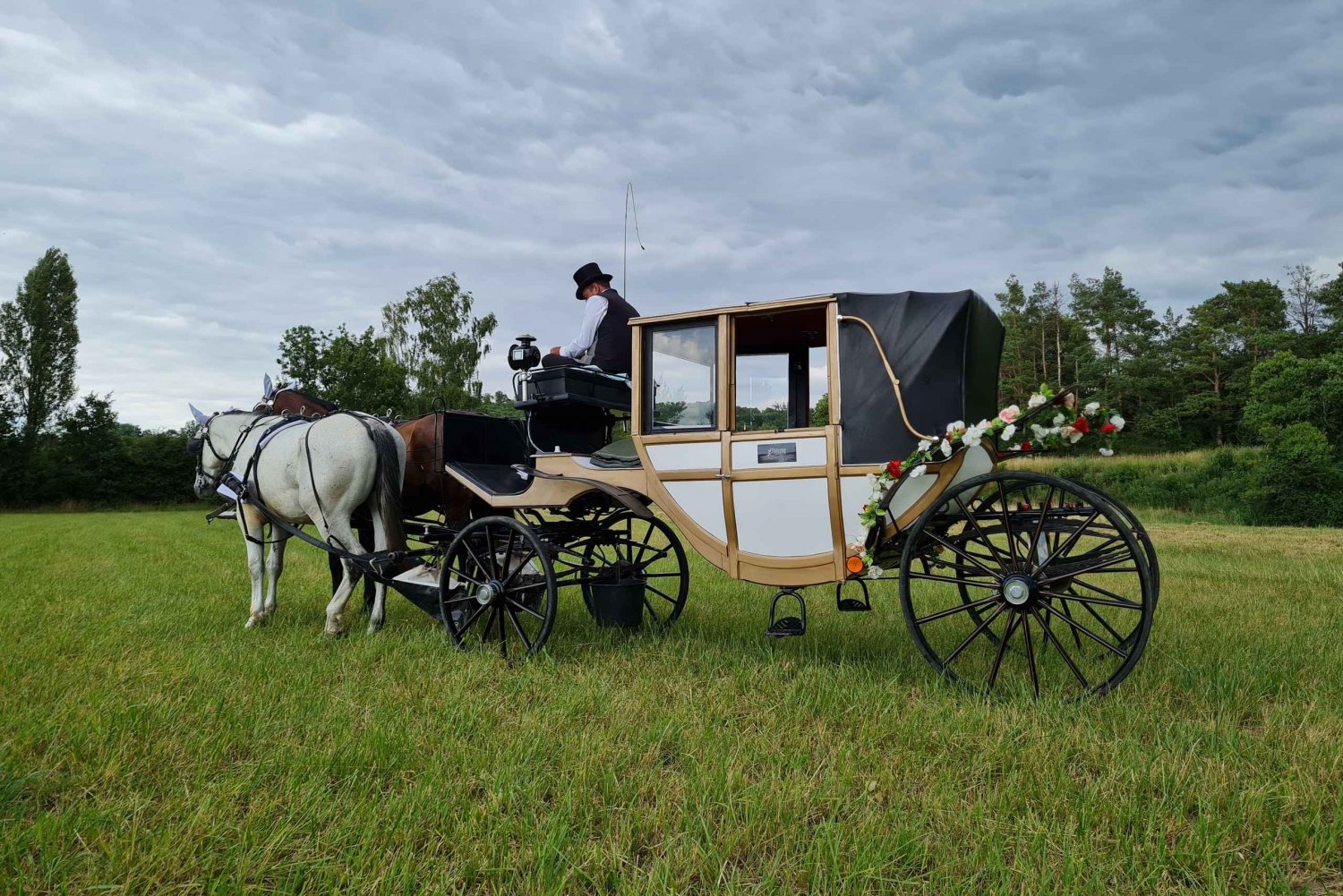 ウィーン ポーセリン フィスト - 大人向けの静かなプラーター馬車に乗る