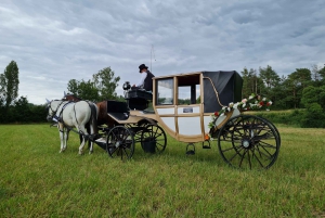 Vienna Porcelain Carriage - A discreet Prater carriage ride for adults