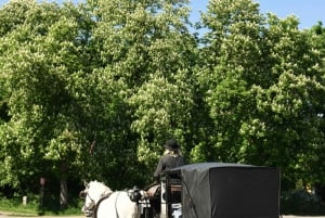 Венская поездка на фарфоровой повозке — дискретная поездка на карете по Пратер для взрослых
