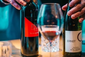 Viena: degustação de vinhos premium com sommelier e visita à adega