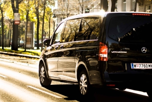 Wien: Private 3-stündige Stadtführung mit dem Van