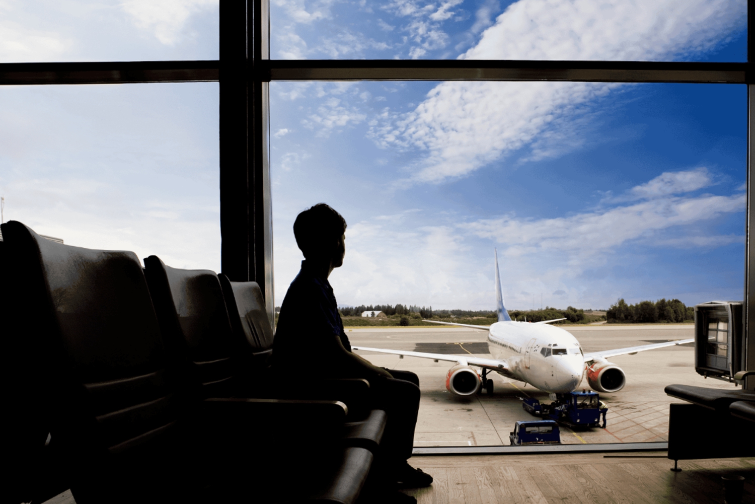 Traslado privado desde el aeropuerto de Viena