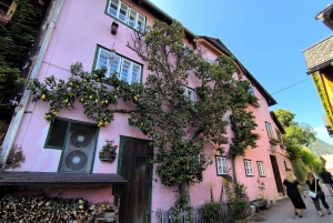 Wien, Österrike: Privat alpresa till Wachau, Hallstatt och Salzburg