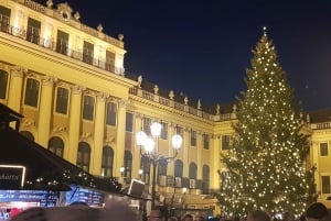 Vienna: Private Christmas Markets Tour with Drink & Snack