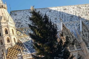 Vienna: Private Christmas Markets Tour with Drink & Snack
