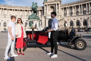 Vienna: Private City Tour and Dinner in a Vintage Car