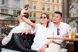 Vienna: Private City Tour and Dinner in a Vintage Car