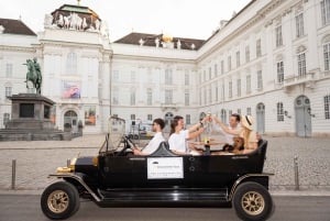 Vienna: Private City Tour and Dinner in a Vintage Car