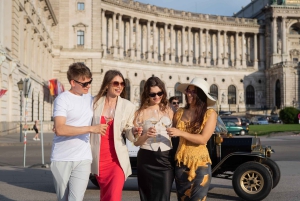 ウィーン：ヴィンテージカーでのプライベートシティツアーとディナー