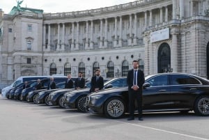 Vienna: Private City Tour with Driver Guide
