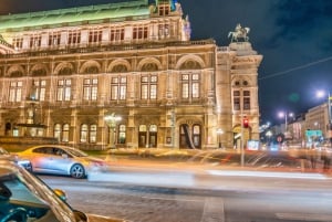 Privat stadsrundtur i Wien