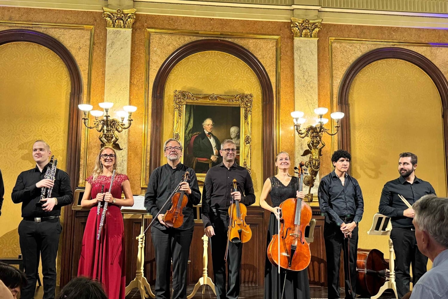 Vienna: tour privato di musica classica, ingresso al museo e concerto