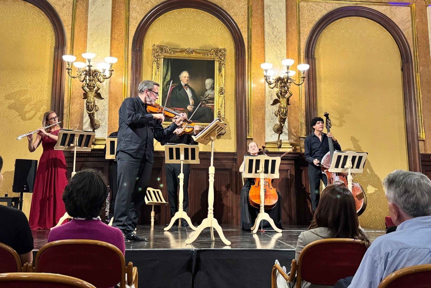 Vienna: tour privato di musica classica, ingresso al museo e concerto