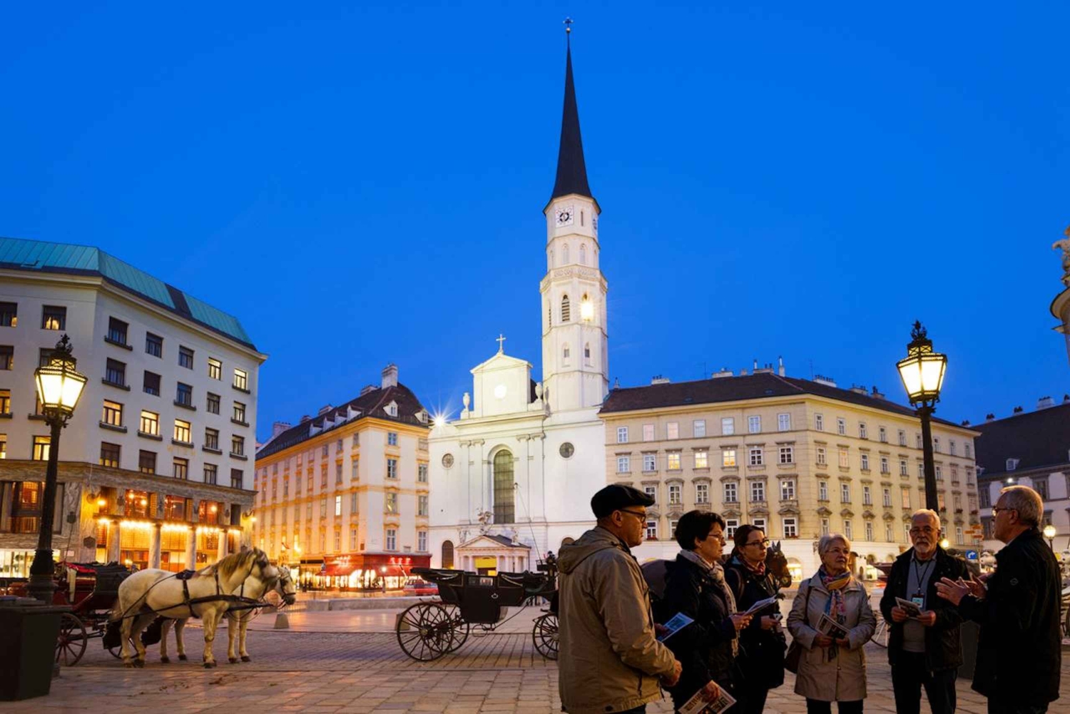 Vienna: tour privato di musica classica, ingresso al museo e concerto