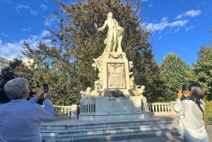 Vienna: tour privato di musica classica, ingresso al museo e concerto