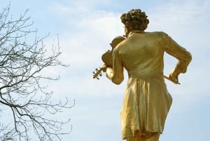 Vienna: tour privato di musica classica, ingresso al museo e concerto