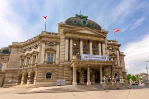 Vienna: tour privato di musica classica, ingresso al museo e concerto