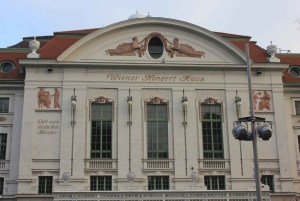 Vienna: tour privato di musica classica, ingresso al museo e concerto