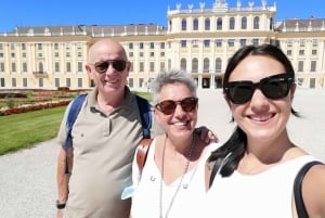 Viena: Excursão a pé particular com um guia de turismo