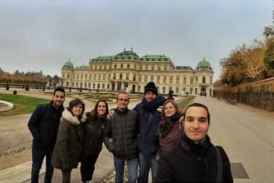 Viena: Excursão a pé particular com um guia de turismo