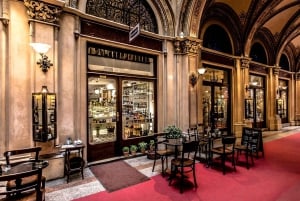 Viena:Viagem de 1 dia privada e personalizada a Budapeste com um local