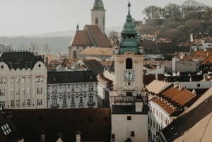 Wenen: privédagtrip naar Bratislava met hoteltransfers