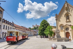 Wenen: privédagtrip naar Bratislava met hoteltransfers