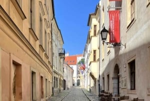 Wenen: privédagtrip naar Bratislava met hoteltransfers