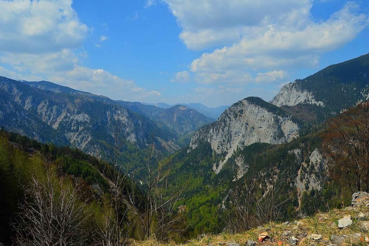 Wiedeń: prywatna wycieczka 1-dniowa do Schneebergu i Jeziora Neusiedl