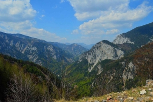 Wiedeń: prywatna wycieczka 1-dniowa do Schneebergu i Jeziora Neusiedl