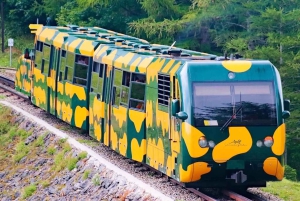 Wiedeń: prywatna wycieczka 1-dniowa do Schneebergu i Jeziora Neusiedl