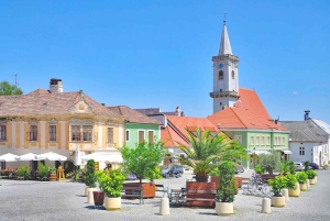 Wiedeń: prywatna wycieczka 1-dniowa do Schneebergu i Jeziora Neusiedl