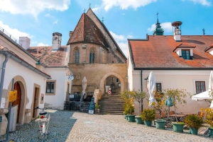 Wiedeń: prywatna wycieczka 1-dniowa do Schneebergu i Jeziora Neusiedl