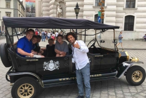 Vienna: Private Electric-Oldtimer Sightseeing Tour