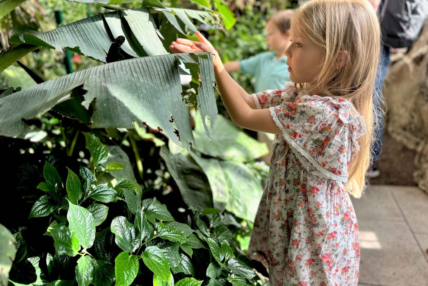 Wien: Private Family Tour, Stadthighlights, Museum & Torte