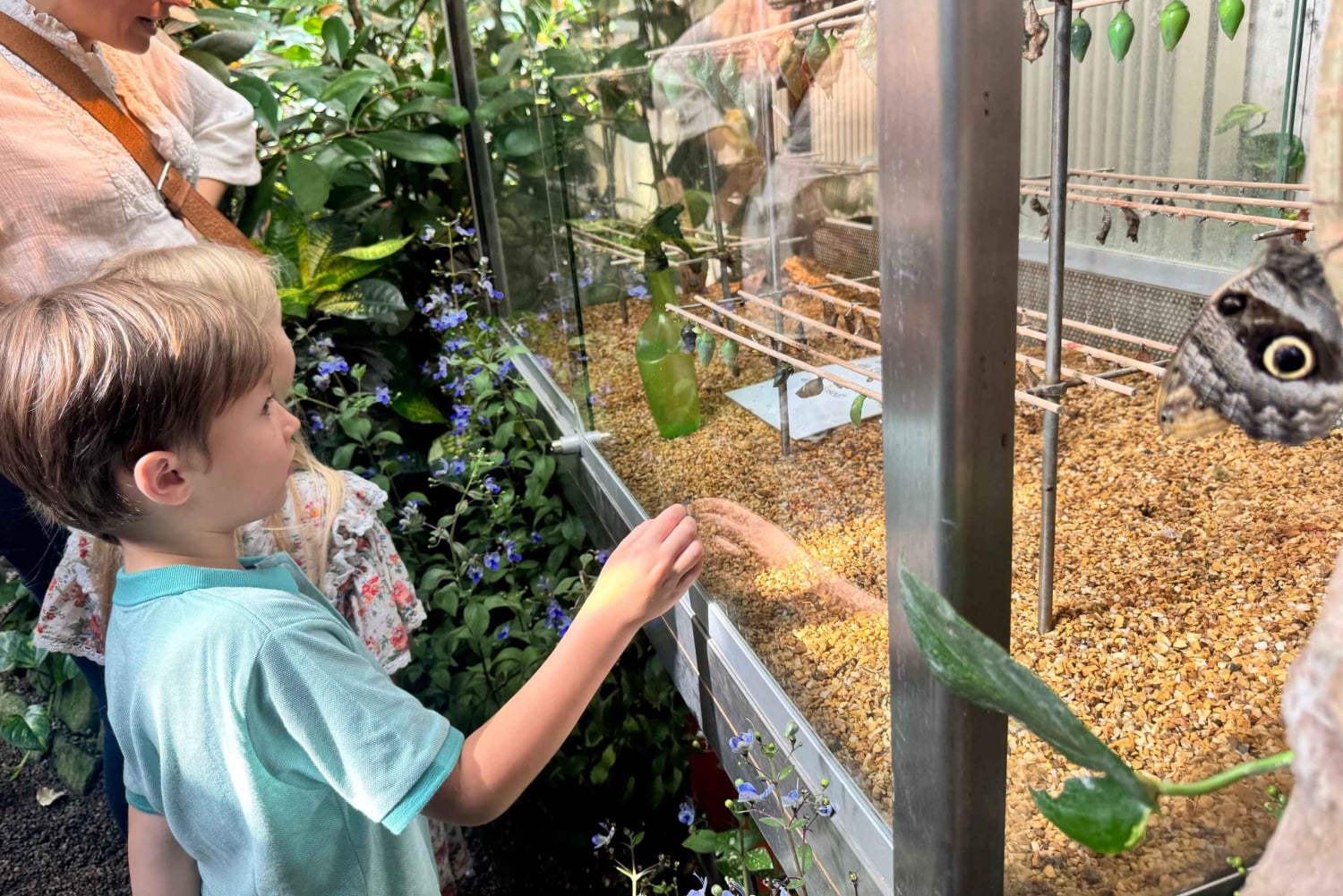 Wien: Private Family Tour, Stadthighlights, Museum & Torte