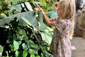 Wien: Private Family Tour, Stadthighlights, Museum & Torte