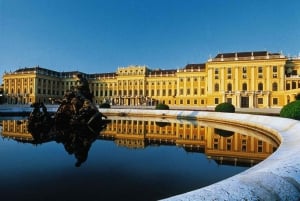 Vienna: Private Flexible Tour by Van