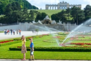 Vienna Private Full Day Tour – Tickets to Schönbrunn & Lunch