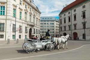 Vienna Private Full Day Tour – Tickets to Schönbrunn & Lunch